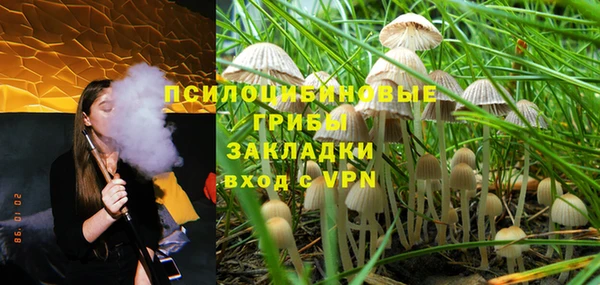 а пвп мука Гусев